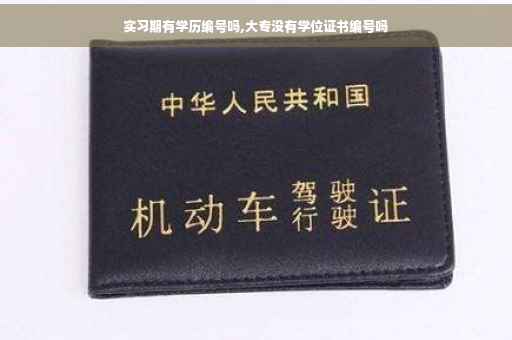 实习期有学历编号吗,大专没有学位证书编号吗