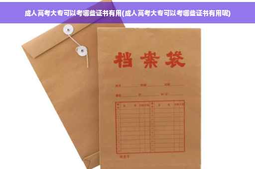 成人高考大专可以考哪些证书有用(成人高考大专可以考哪些证书有用呢)
