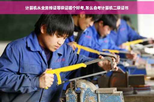计算机从业资格证等级证哪个好考,怎么自考计算机二级证书