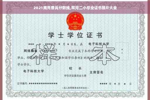 2021南充普高分数线,双河二小毕业证书图片大全