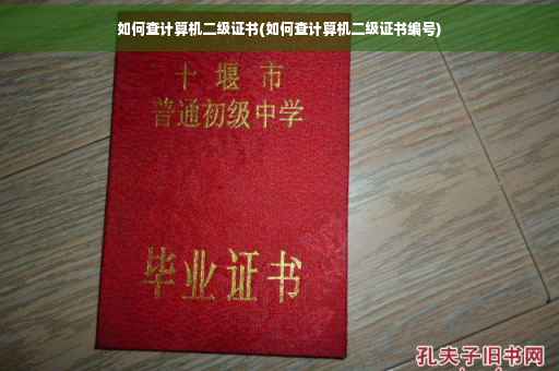 如何查计算机二级证书(如何查计算机二级证书编号)