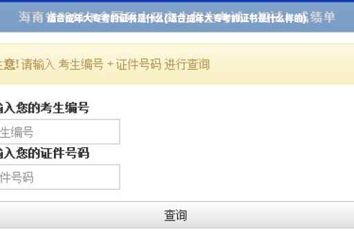 适合成年大专考的证书是什么(适合成年大专考的证书是什么样的)