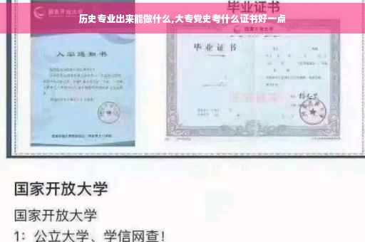 历史专业出来能做什么,大专党史考什么证书好一点