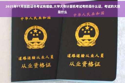 2021年11月技能证书考试有哪些,大学大专计算机考试考的是什么证，考试的大纲是什么