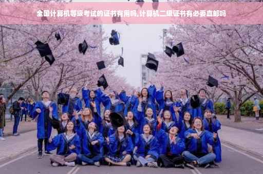 全国计算机等级考试的证书有用吗,计算机二级证书有必要直邮吗