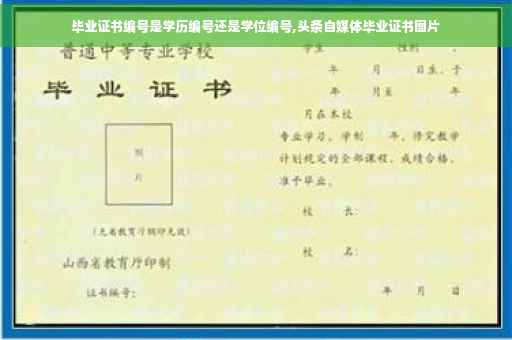 毕业证书编号是学历编号还是学位编号,头条自媒体毕业证书图片