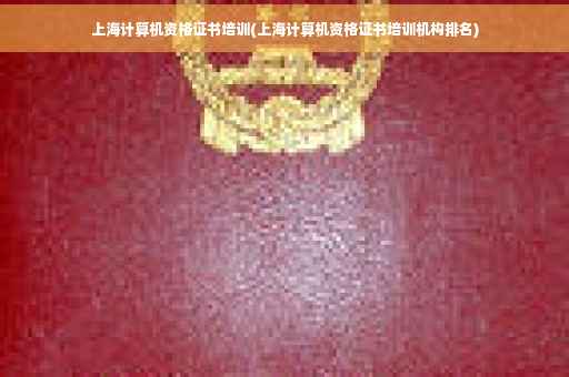 上海计算机资格证书培训(上海计算机资格证书培训机构排名)