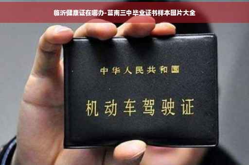 临沂健康证在哪办-莒南三中毕业证书样本图片大全