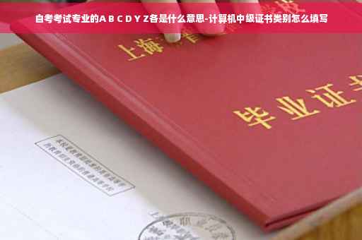 自考考试专业的A B C D Y Z各是什么意思-计算机中级证书类别怎么填写