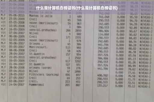 什么是计算机合格证书(什么是计算机合格证书)