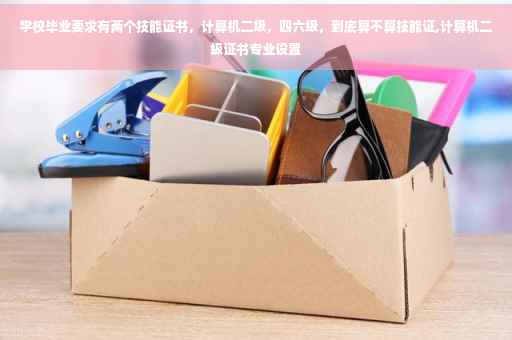 学校毕业要求有两个技能证书，计算机二级，四六级，到底算不算技能证,计算机二级证书专业设置