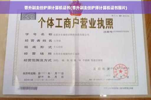 晋升副主任护师计算机证书(晋升副主任护师计算机证书图片)