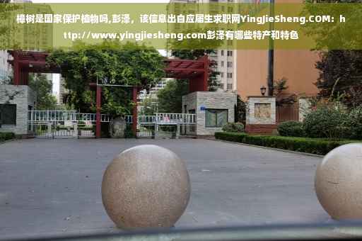 樟树是国家保护植物吗,彭泽，该信息出自应届生求职网YingJieSheng.COM：http://www.yingjiesheng.com彭泽有哪些特产和特色
