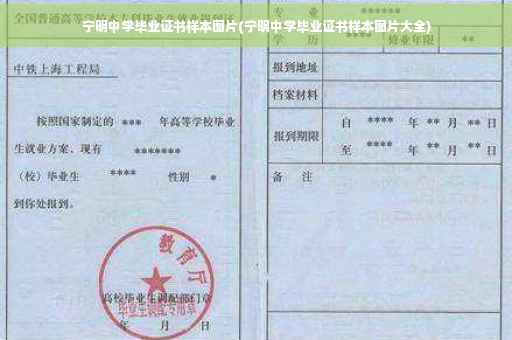 宁明中学毕业证书样本图片(宁明中学毕业证书样本图片大全)