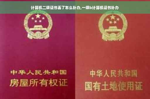 计算机二级证书丢了怎么补办,一级b计算机证书补办
