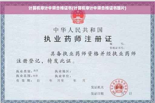 计算机审计中级合格证书(计算机审计中级合格证书图片)