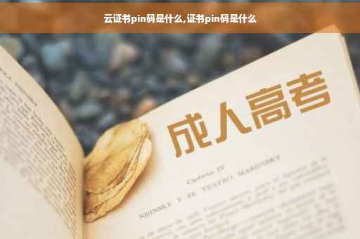 云证书pin码是什么,证书pin码是什么 云证书pin码是什么,证书pin码是什么