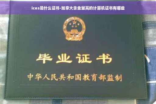 ices是什么证书-加拿大含金量高的计算机证书有哪些