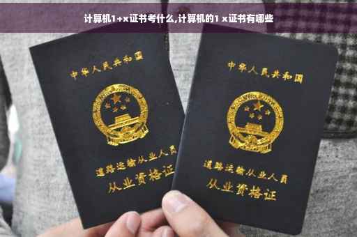 计算机1+x证书考什么,计算机的1 x证书有哪些
