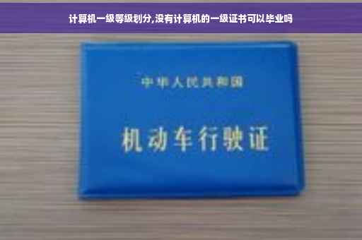 计算机一级等级划分,没有计算机的一级证书可以毕业吗