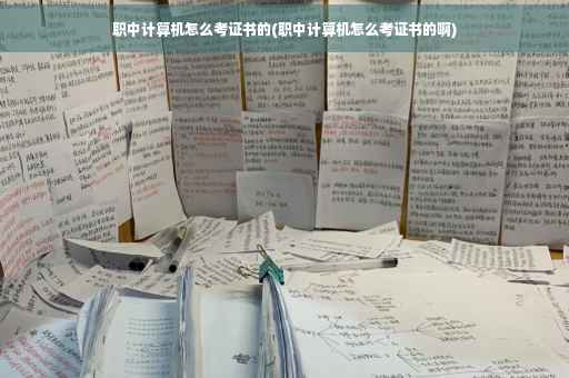 职中计算机怎么考证书的(职中计算机怎么考证书的啊)