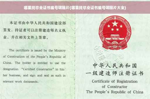 哪里找毕业证书编号呢图片(哪里找毕业证书编号呢图片大全)