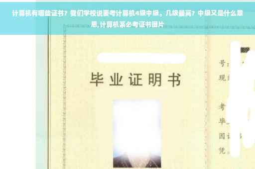 计算机有哪些证书？我们学校说要考计算机4级中级。几级最高？中级又是什么意思,计算机系必考证书图片