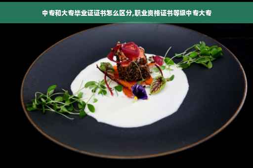 中专和大专毕业证证书怎么区分,职业资格证书等级中专大专