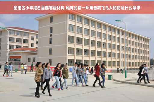 昭阳区小学报名需要哪些材料,唯有知情一片月曾窥飞鸟入昭阳是什么意思