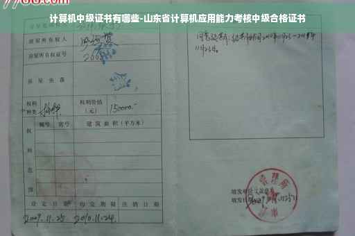 计算机中级证书有哪些-山东省计算机应用能力考核中级合格证书