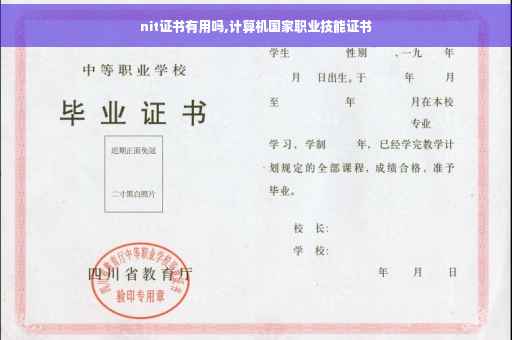nit证书有用吗,计算机国家职业技能证书