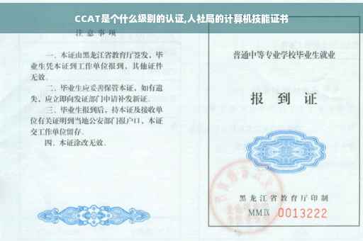 CCAT是个什么级别的认证,人社局的计算机技能证书