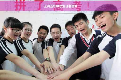 上海五年级毕业证书图片