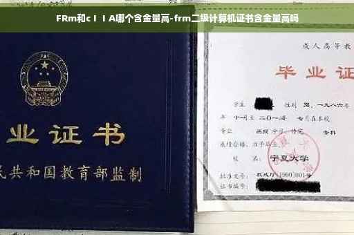 FRm和cⅠⅠA哪个含金量高-frm二级计算机证书含金量高吗