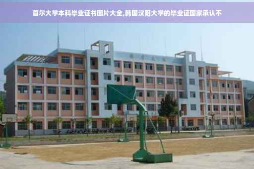 首尔大学本科毕业证书图片大全,韩国汉阳大学的毕业证国家承认不