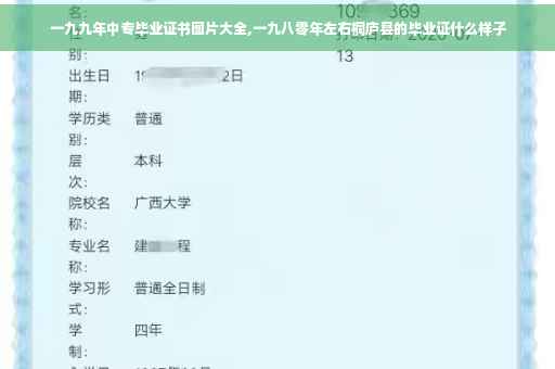 一九九年中专毕业证书图片大全,一九八零年左右桐庐县的毕业证什么样子
