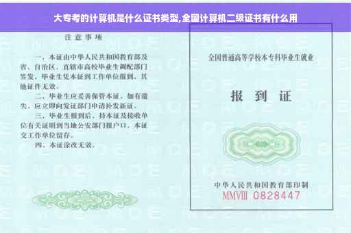 大专考的计算机是什么证书类型,全国计算机二级证书有什么用
