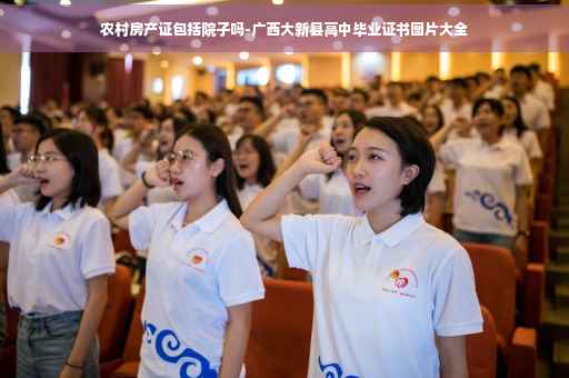 农村房产证包括院子吗-广西大新县高中毕业证书图片大全