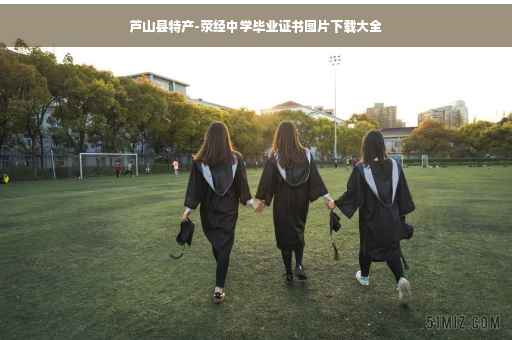 芦山县特产-荥经中学毕业证书图片下载大全