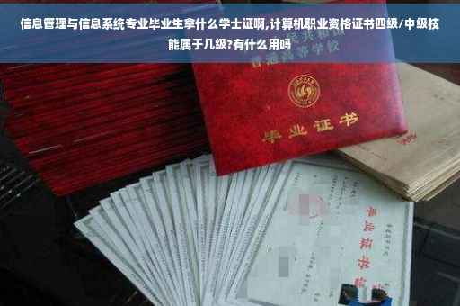 信息管理与信息系统专业毕业生拿什么学士证啊,计算机职业资格证书四级/中级技能属于几级?有什么用吗