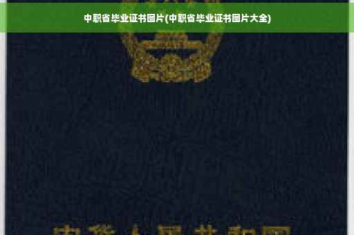 闲鱼客服工作证明闲鱼运送过程中快递坏了谁负责,闲鱼客服工作证明