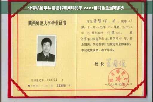 计算机留学认证证书有用吗知乎,caec证书含金量有多少