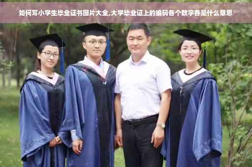 如何写小学生毕业证书图片大全,大学毕业证上的编码各个数字各是什么意思 如何写小学生毕业证书图片大全,大学毕业证上的编码各个数字各是什么意思