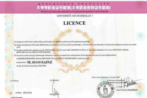 大专考职业证书查询(大专职业资格证书查询)