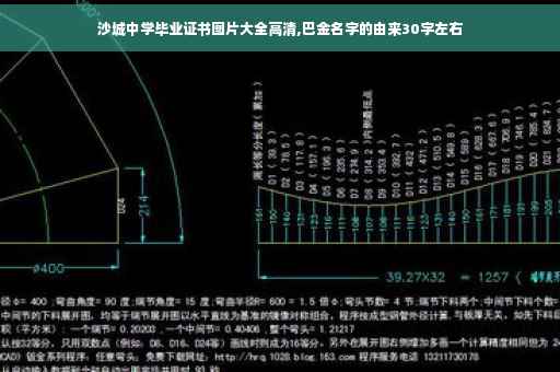 沙城中学毕业证书图片大全高清,巴金名字的由来30字左右