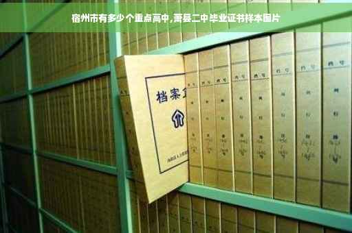 宿州市有多少个重点高中,萧县二中毕业证书样本图片