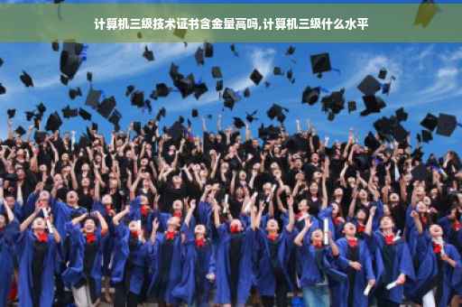 计算机三级技术证书含金量高吗,计算机三级什么水平