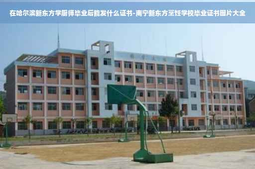 在哈尔滨新东方学厨师毕业后能发什么证书-南宁新东方烹饪学校毕业证书图片大全