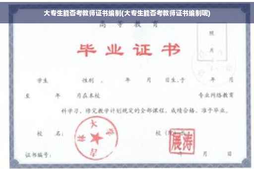 大专生能否考教师证书编制(大专生能否考教师证书编制呢)