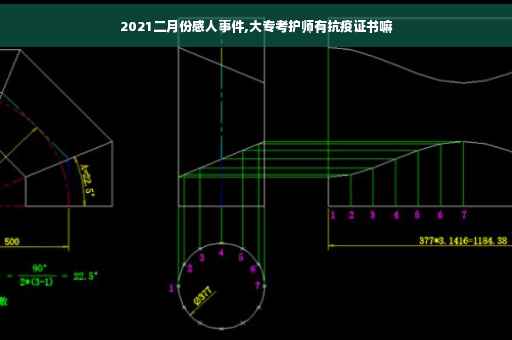2021二月份感人事件,大专考护师有抗疫证书嘛